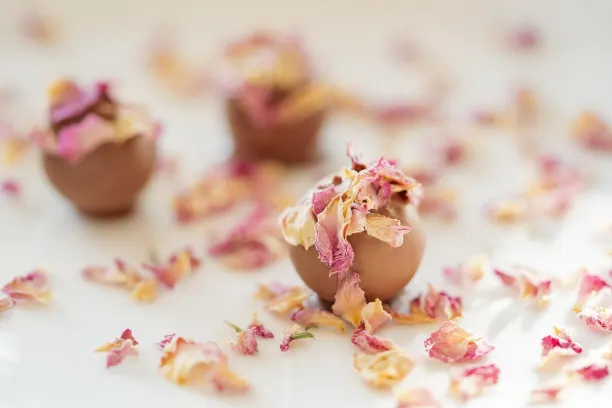 Κοιν365Μπετ Καζίνο Εφαρμογή Android/iOS